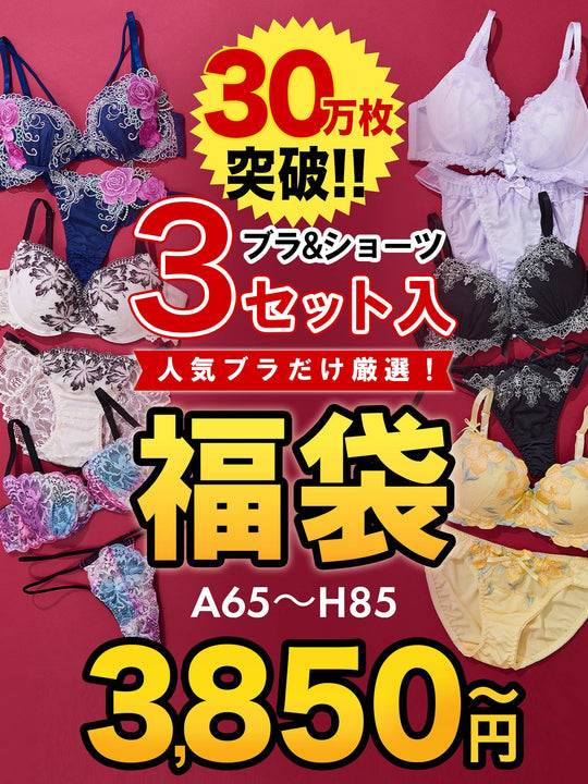 8/6再販!【福袋★ブラセット3点入】ブラジャー＆ショーツ3点組入り福袋