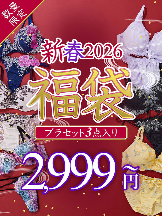 【予約:1月初旬頃より順次発送】12/4再販!【福袋★ブラセット3点入】ブラジャー＆ショーツ3点組入り福袋