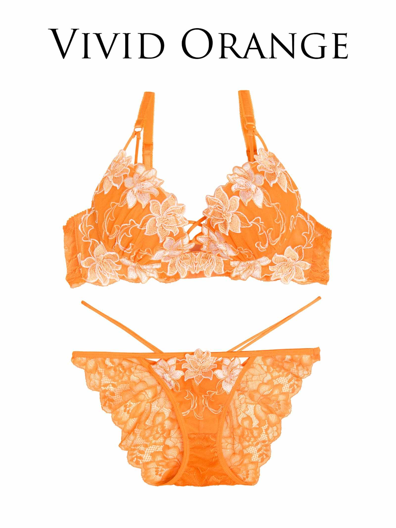 6/6新作!!【永尾まりや着用】【Reinest】リュクスブライトペタルブラジャー&バック透けフルバックショーツ