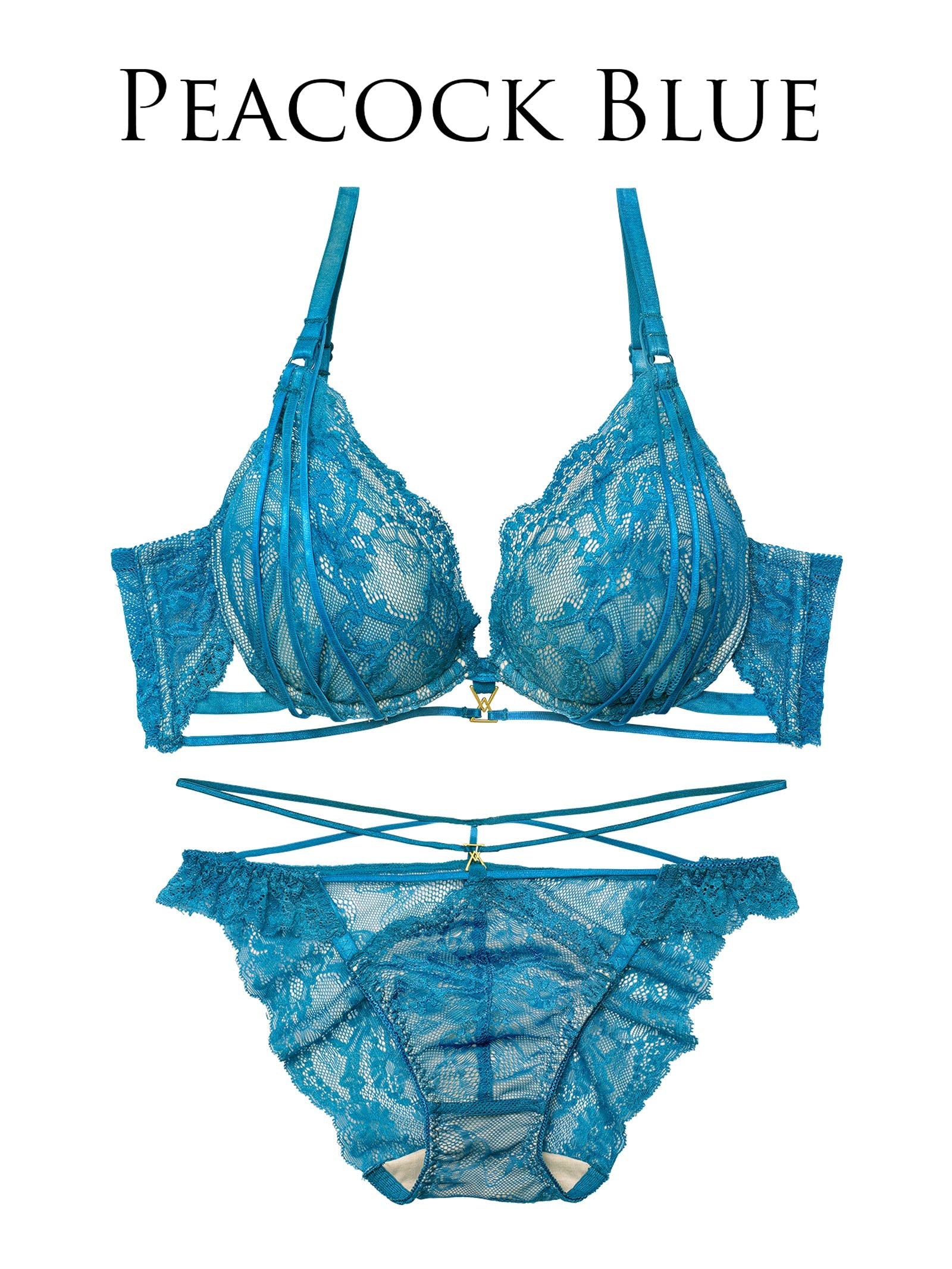 2/4新作!【Reinest】センシュアルレーシィコードブラジャー&バック透けフルバックショーツ