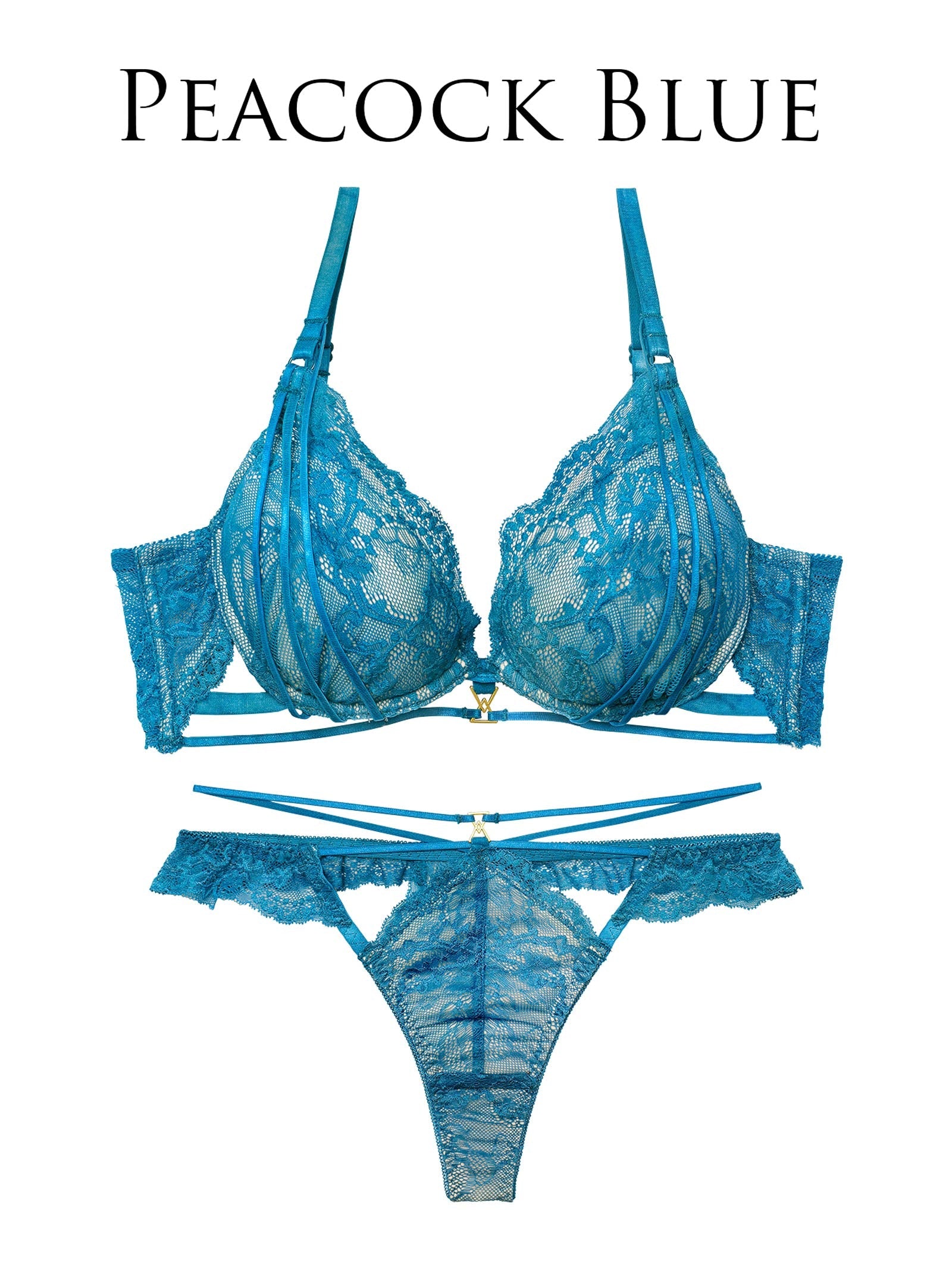 2/4新作!【Reinest】センシュアルレーシィコードブラジャー&バック透けTバックショーツ