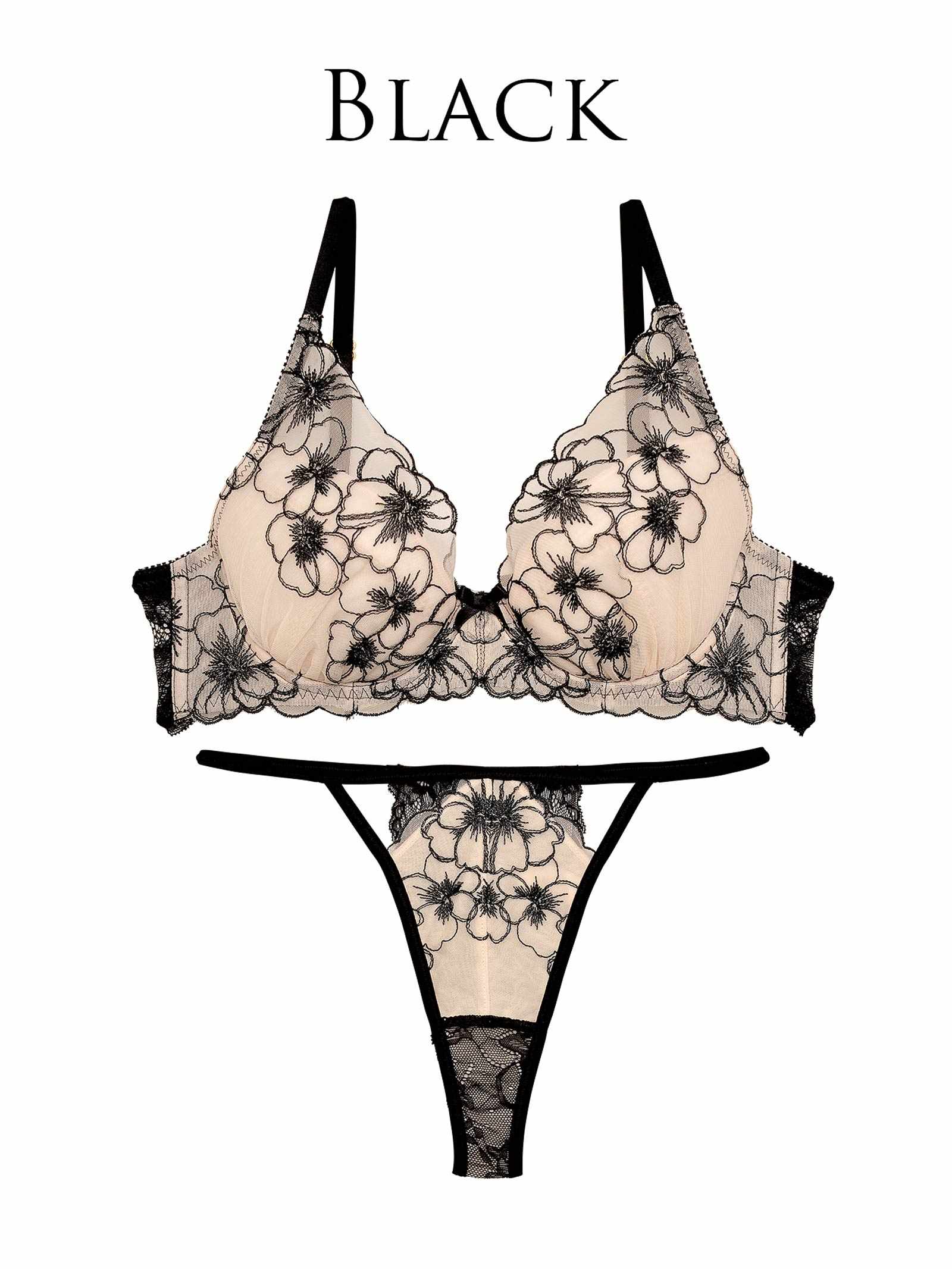 9/15新作【Reinest】ロマンスビオラエンブロイダリーブラジャー&バック透けTバックショーツ