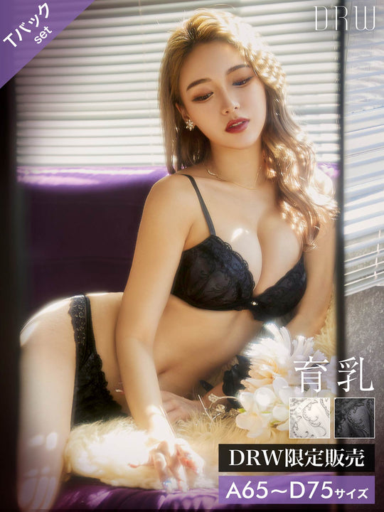 12/13再販!クラシカルラインレース育乳脇高ブラジャー&Tバックショーツ